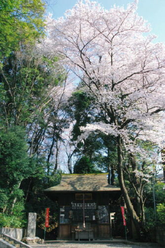 春の神明社