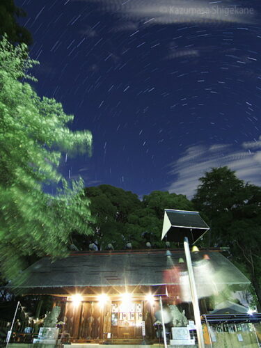 風鈴の音響く夜の所澤神明社